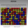 Fetch Game Image